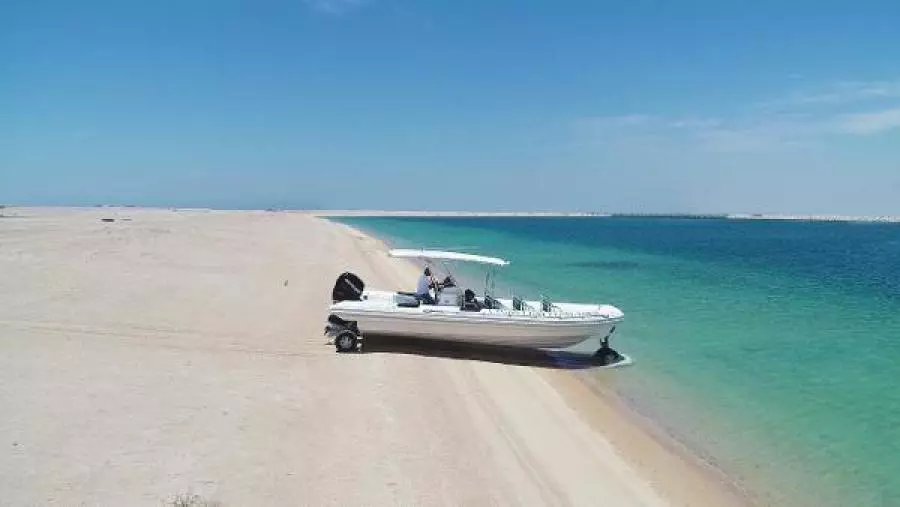 2022 Ocean Craft Marine Transport and Tour 9.5M