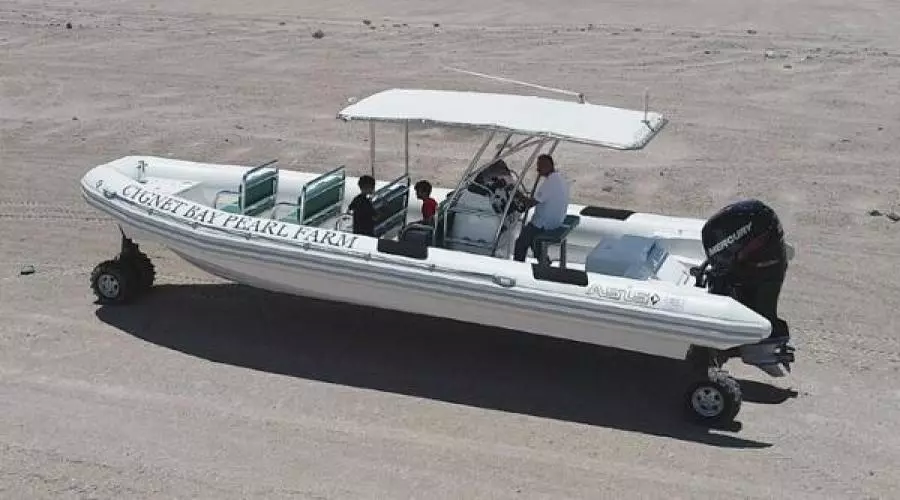 2022 Ocean Craft Marine Transport and Tour 9.5M