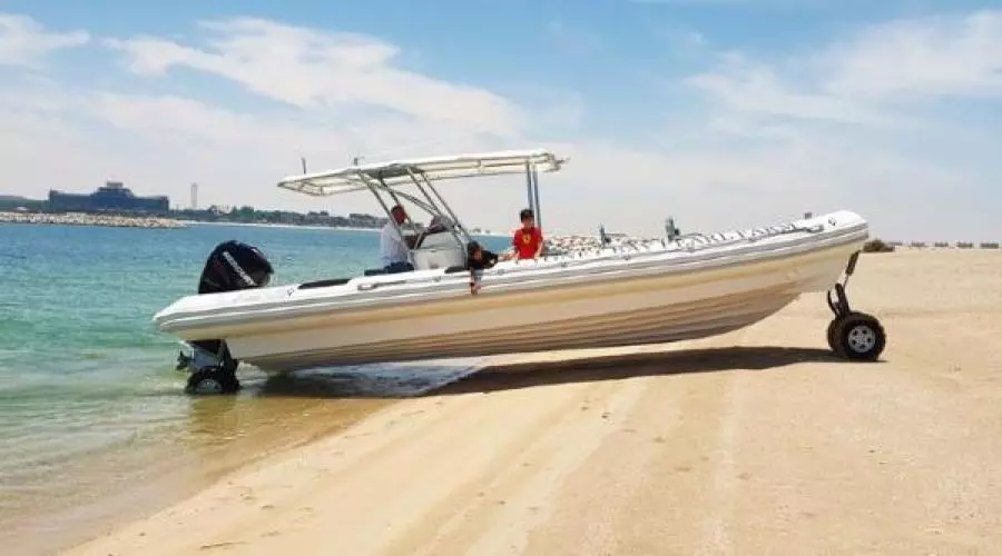 2022 Ocean Craft Marine Transport and Tour 9.5M