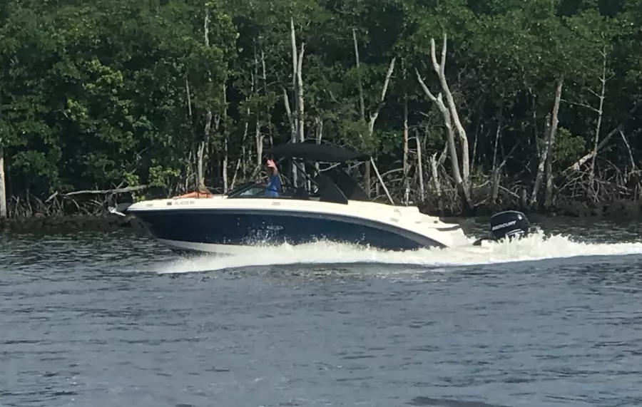 2019 Sea Ray SDX 270 Outboard