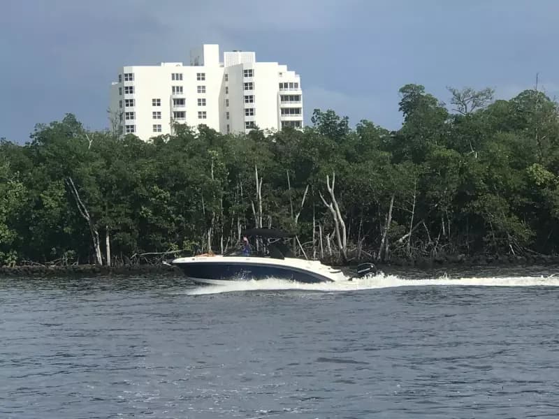 2019 Sea Ray SDX 270 Outboard