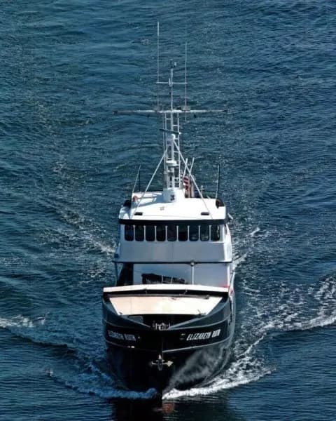 1991 Custom Robinson Modified Monk