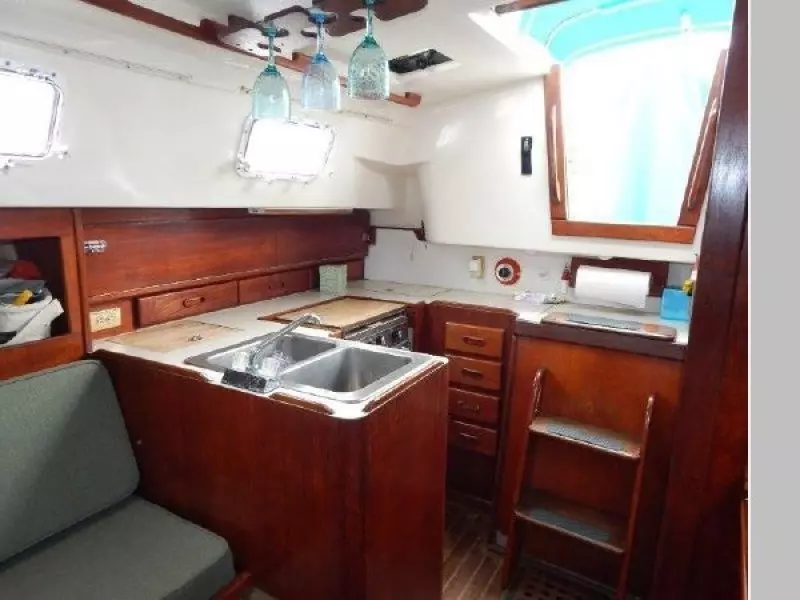 1979 Hunter Cherubini