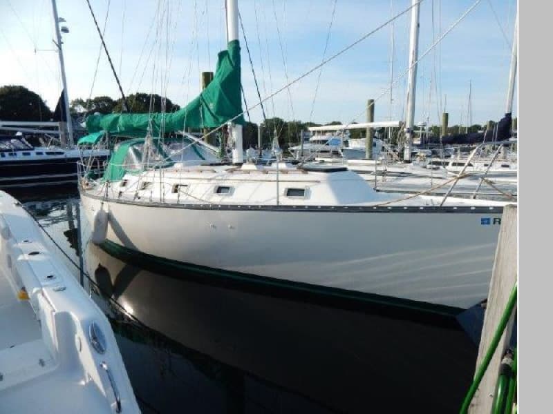 1979 Hunter Cherubini