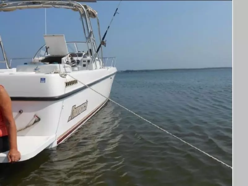 1999 Shamrock 246 Walkaround