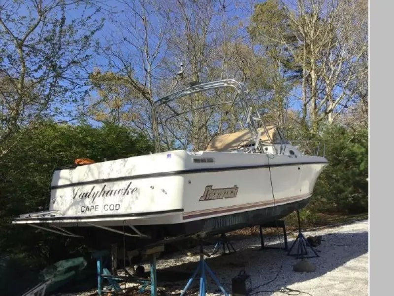 1999 Shamrock 246 Walkaround