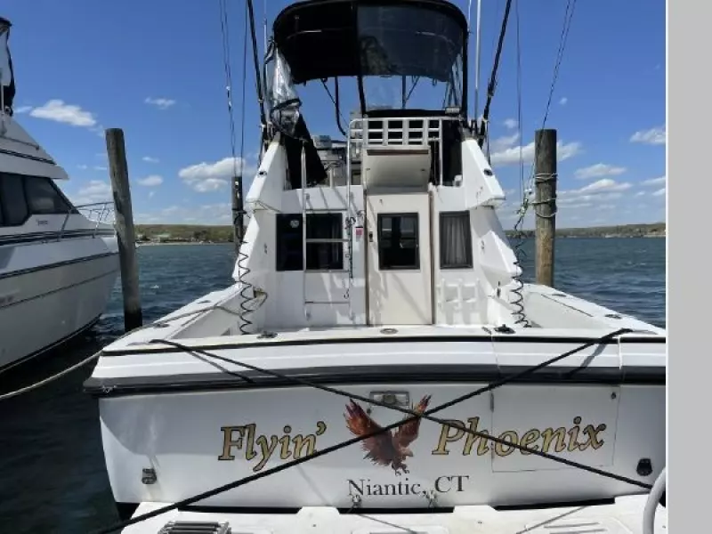 1989 Phoenix 290 SFX