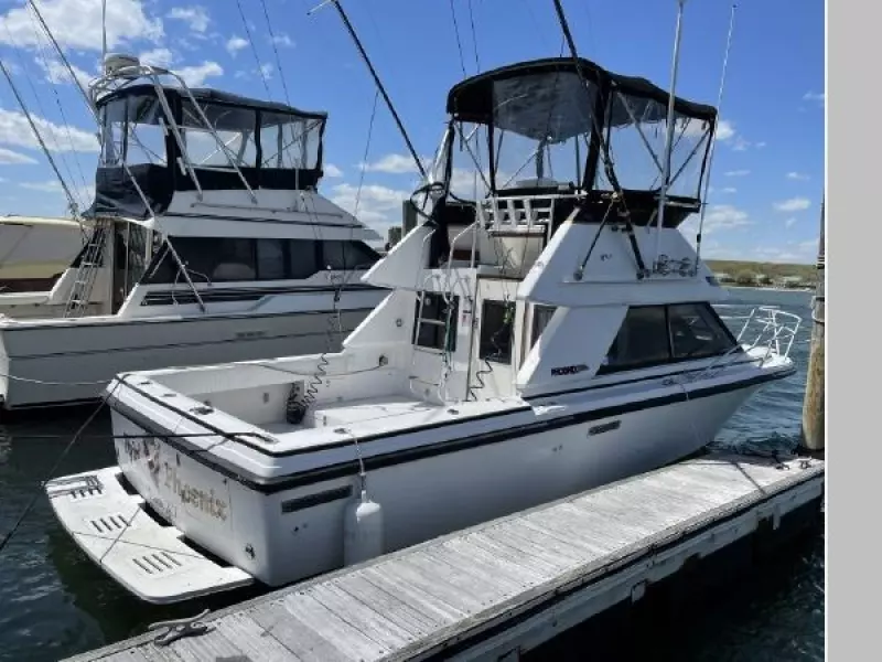 1989 Phoenix 290 SFX