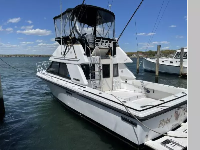 1989 Phoenix 290 SFX