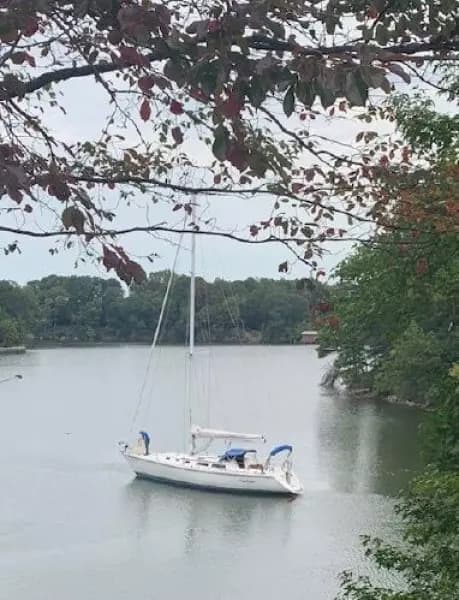 1990 Catalina 42 - 3 Cabin