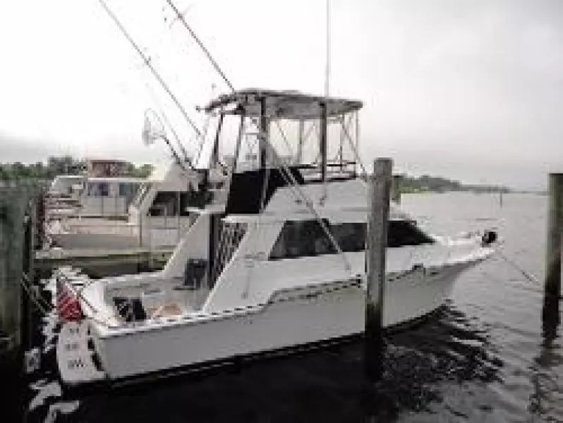 1989 Luhrs Convertible