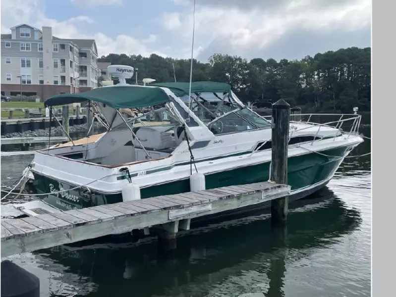 1989 Sea Ray Sundancer