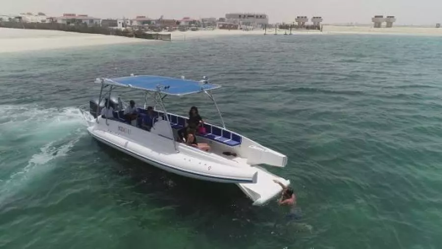 2022 Ocean Craft Marine Beachlander 8.75