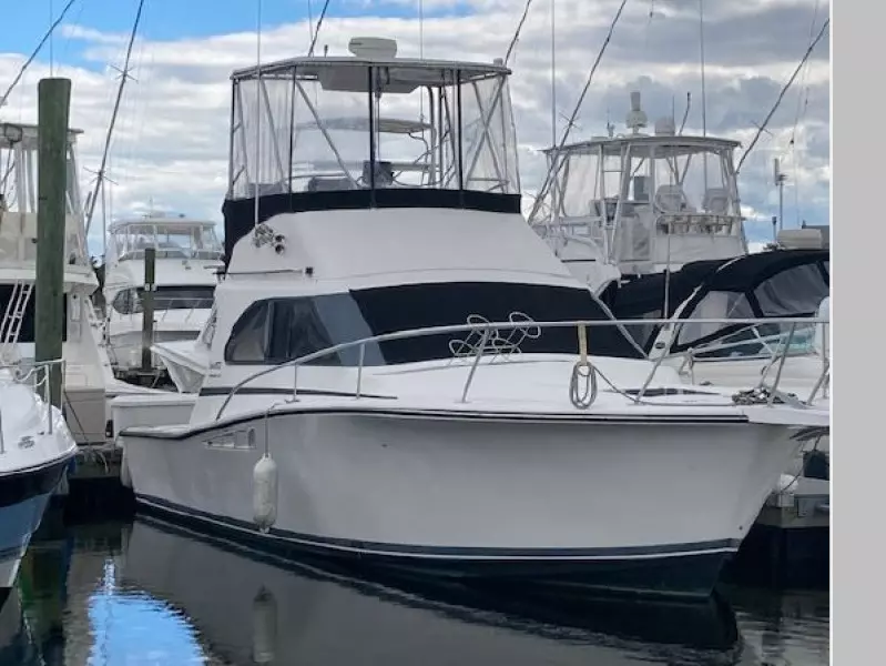 1989 Luhrs 320 Tournament
