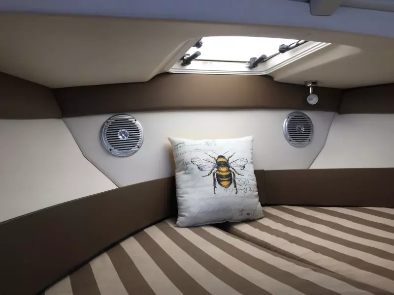 2012 Bayliner Discovery