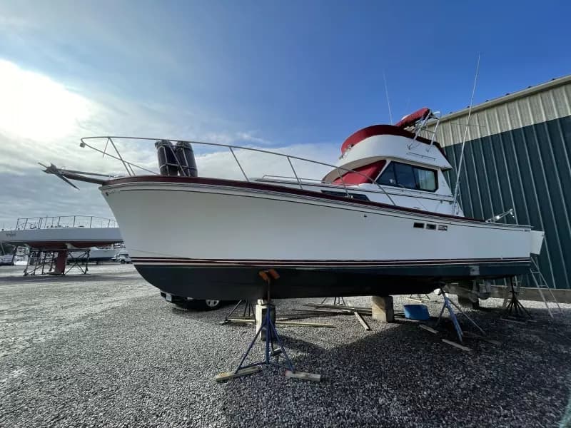 1987 Shannon Brendan Sedan