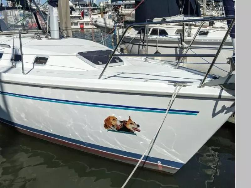 1997 Catalina 34 MKII Wing Keel
