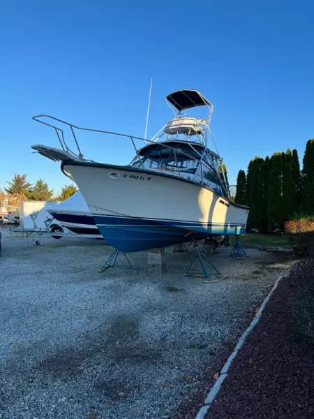 1986 Rampage 28 Sportsman