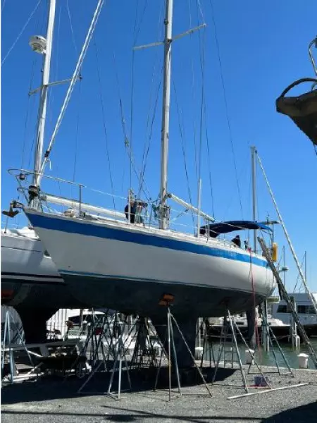 1985 Wauquiez Pretorien