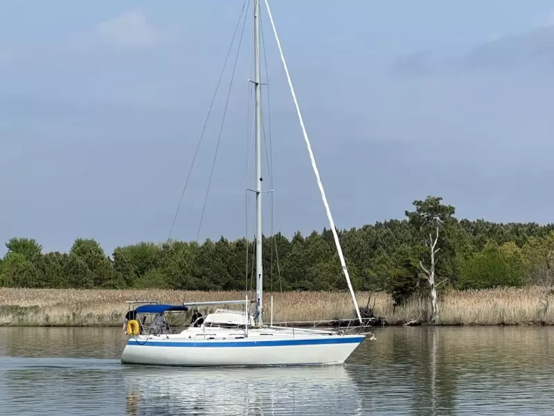 1985 Wauquiez Pretorien