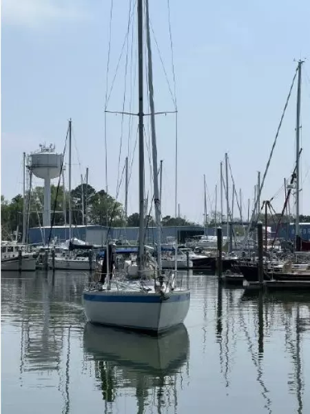 1985 Wauquiez Pretorien