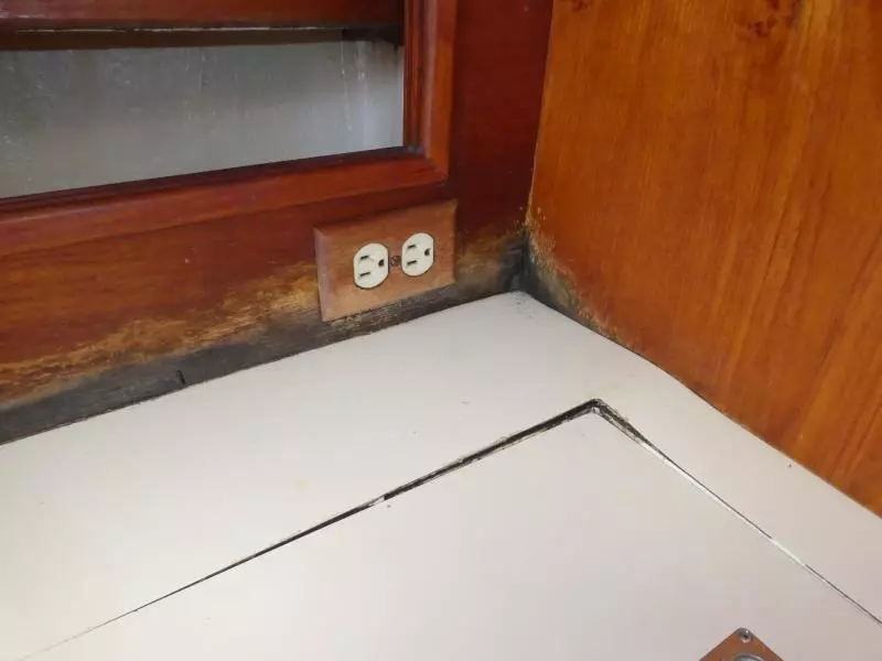 1981 Hinterhoeller Niagara