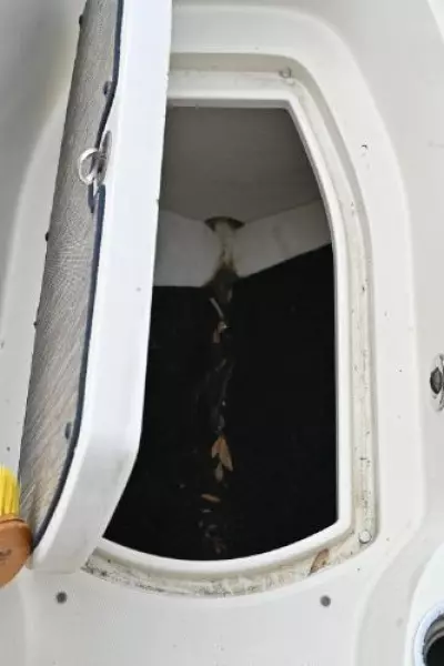 2010 Sea Ray 280 Sundeck