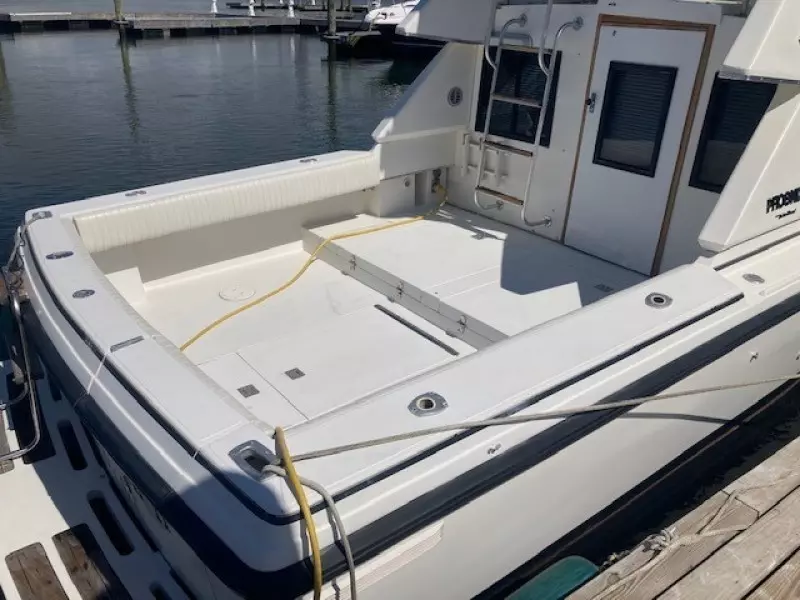 1988 Phoenix FB Cruiser