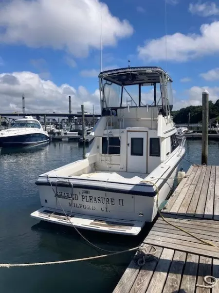 1988 Phoenix FB Cruiser