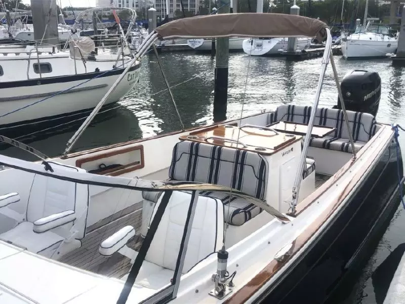 2016 Vanquish 26 Runabout