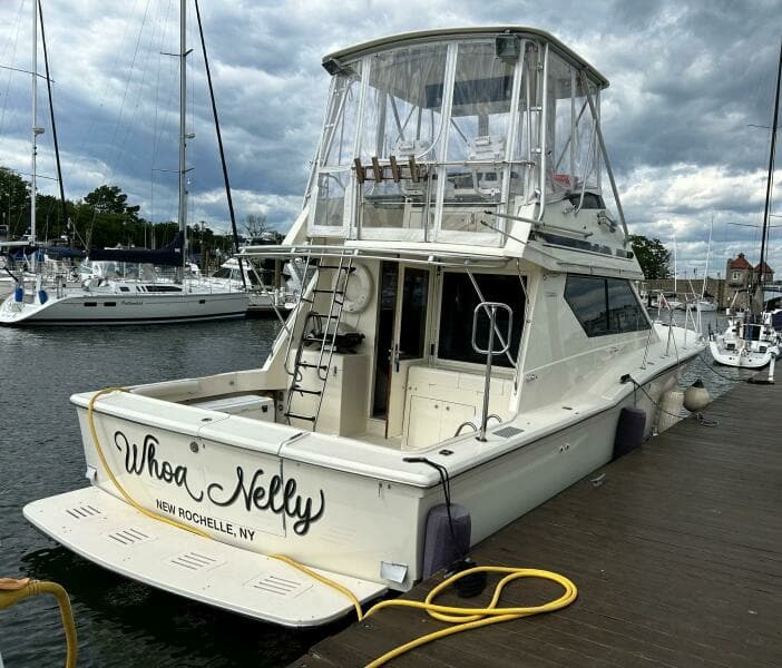 WHOA NELLY (early June 2023)