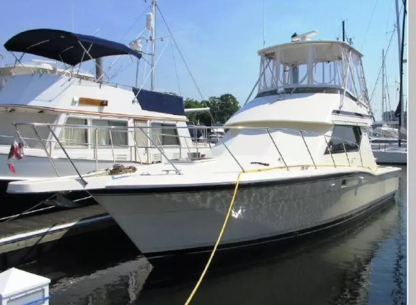 WHOA NELLY (late Summer, 2022) 