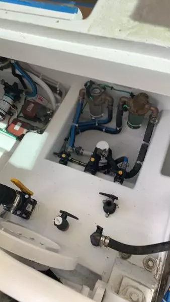 1984 Sunny Briggs Custom Carolina