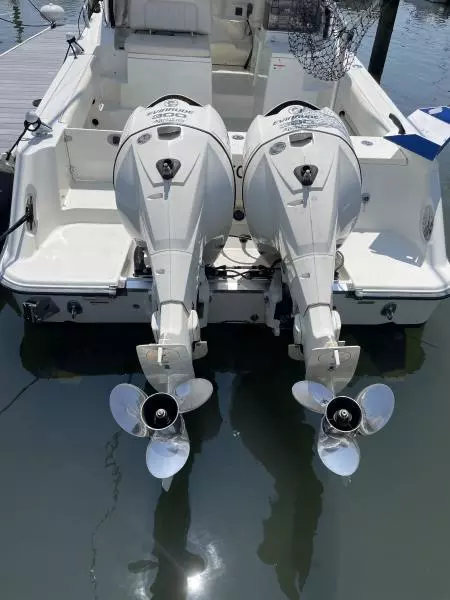 2009 Hydra-Sports Vector 2900