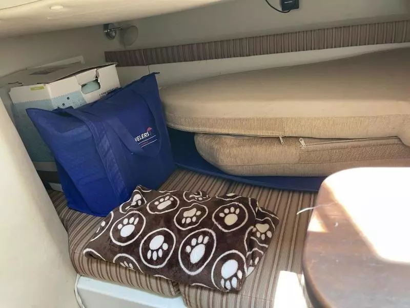 2009 Hydra-Sports Vector 2900