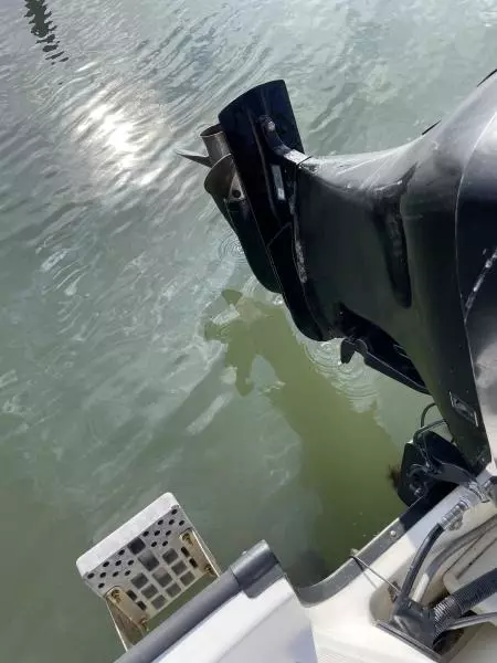 2010 Boston Whaler 170 Montauk