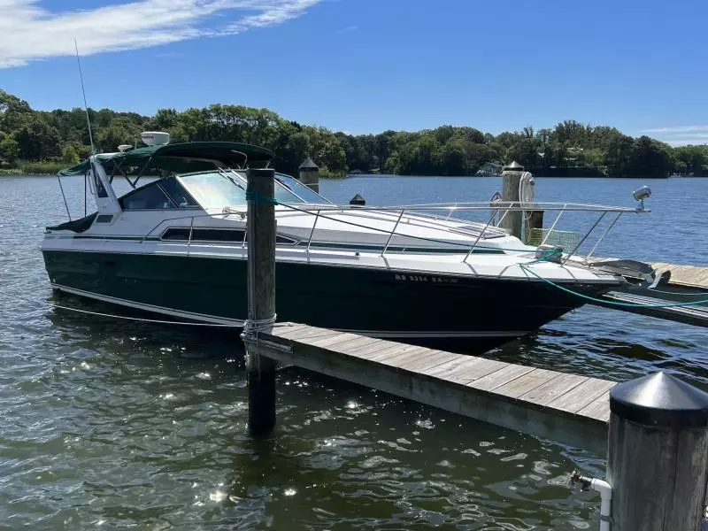 1989 Sea Ray Sundancer