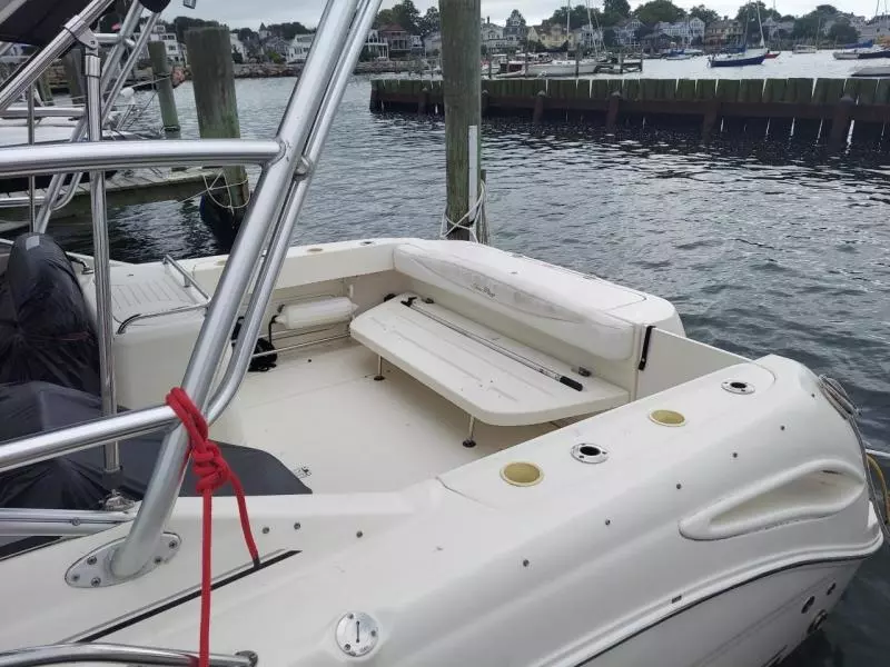 2007 Sea Ray 290 Amberjack