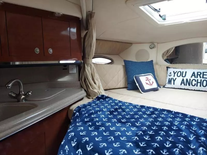 2007 Sea Ray 290 Amberjack