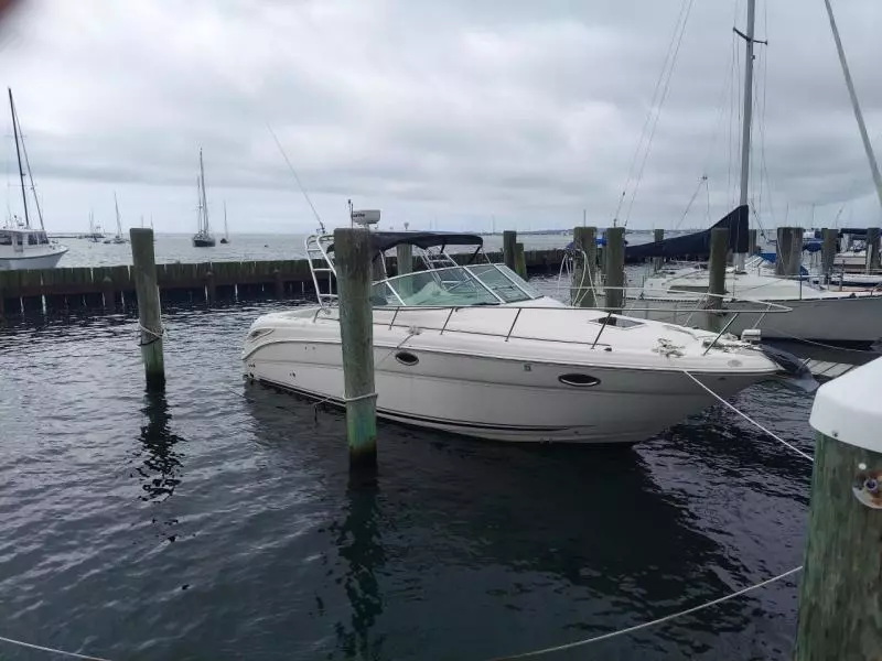 2007 Sea Ray 290 Amberjack