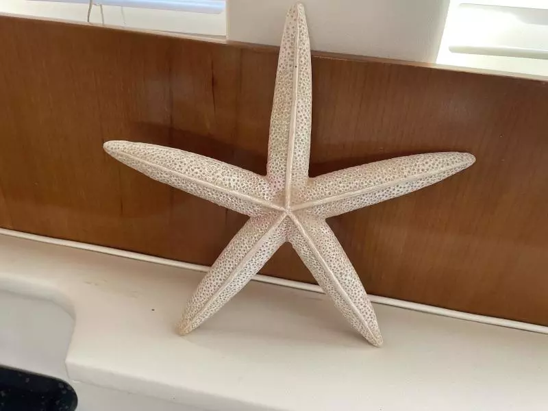 2001 Carver 396 Motor Yacht