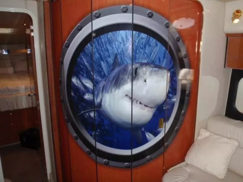 1999 Sea Ray Express Cruiser