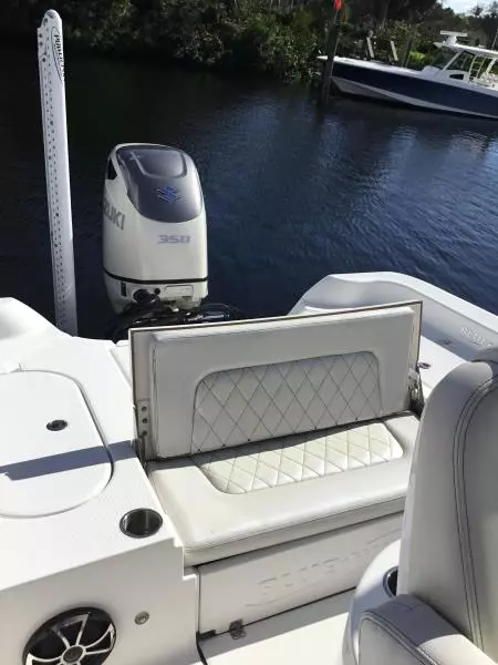 2019 Blue Wave Pure Hybrid