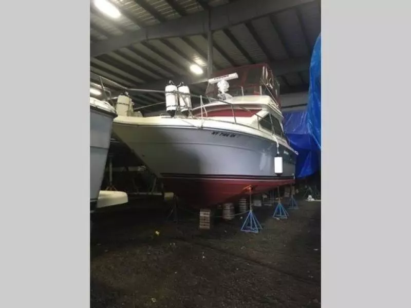 1989 Sea Ray 300 Sedan Bridge