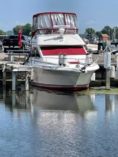 1989 Sea Ray 300 Sedan Bridge