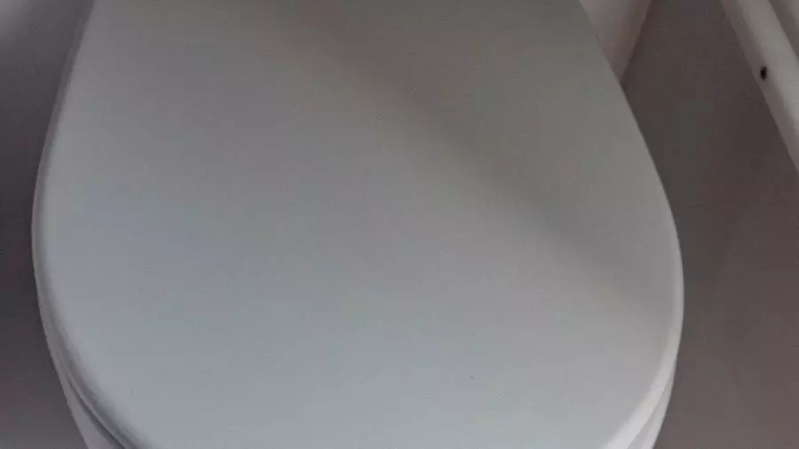 2023 Alfastreet Marine 23 Open Electric