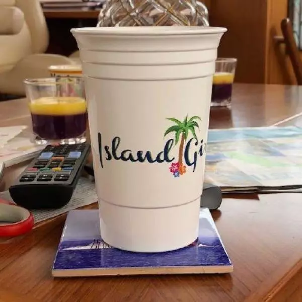 2008 Island Pilot IP435