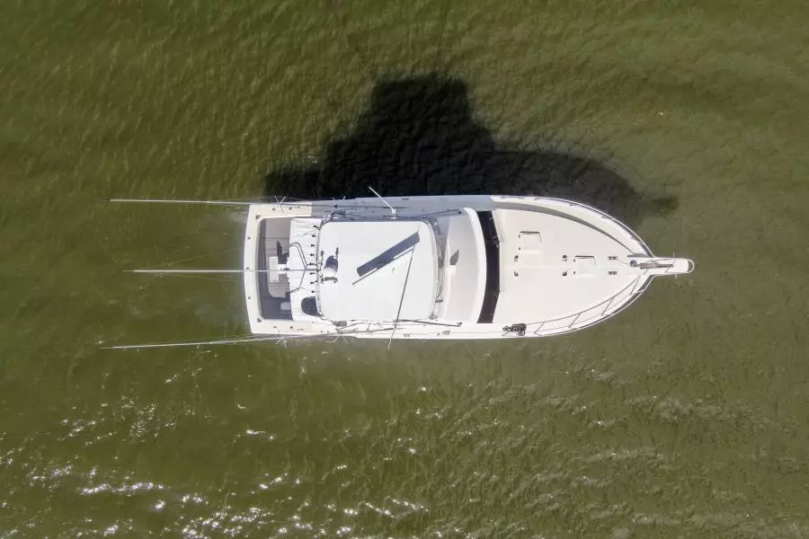 1981 Bertram 42 Convertible Balls To The Wall Top View