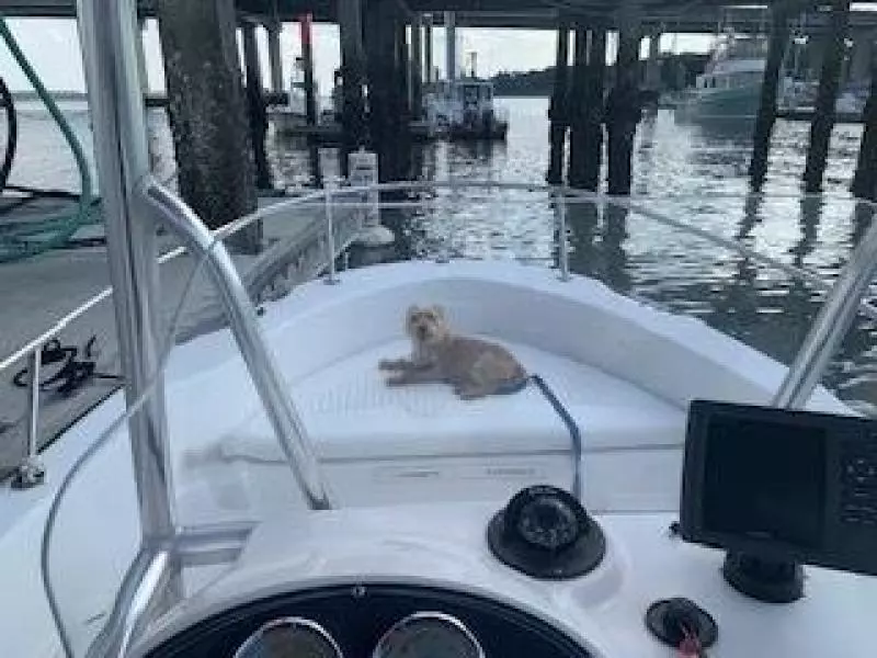 2003 Boston Whaler Dauntless 180