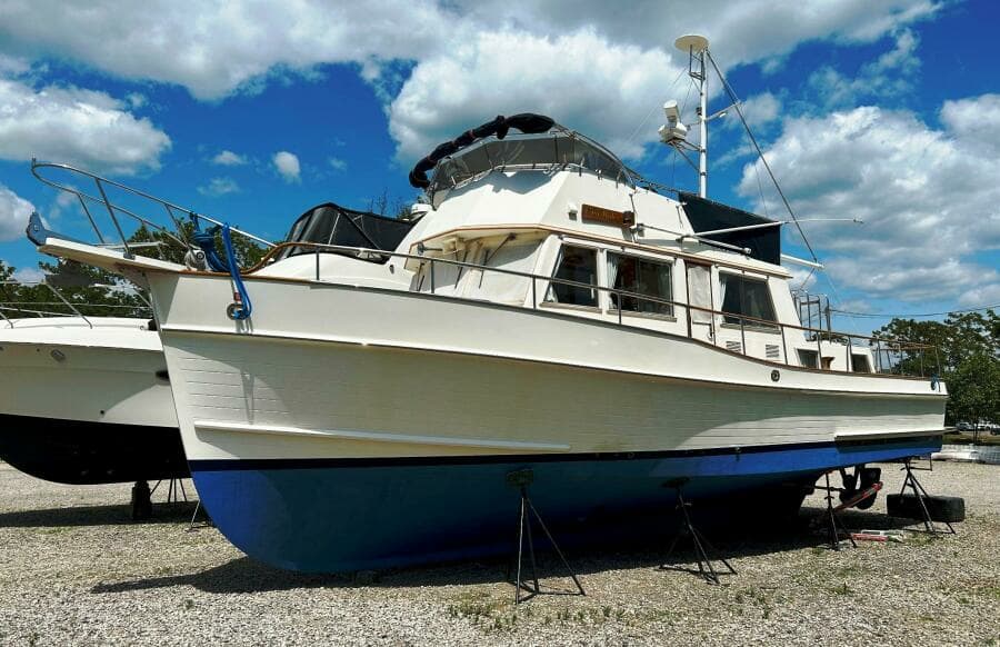 EASY RIDER (early June, 2023)